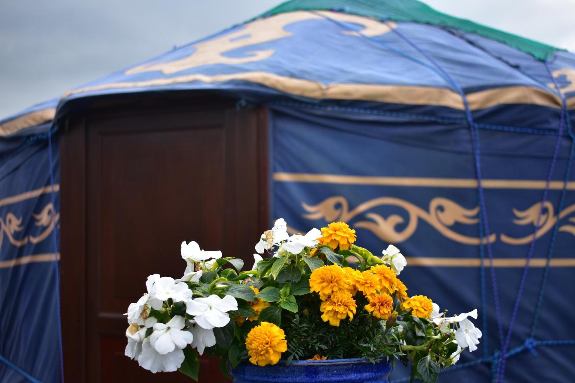 Hotel Doolin Glamping Exteriér fotografie